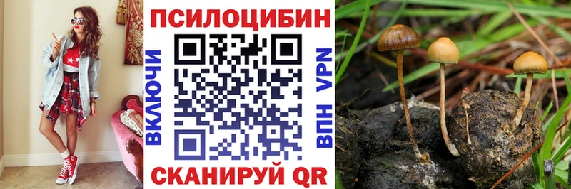 Псилоцибиновые грибы MAGIC MUSHROOMS  ссылка на мегу tor  Янаул 